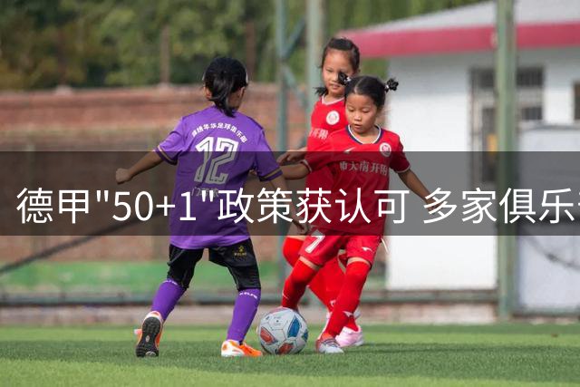 德甲"50+1"政策获认可 多家俱乐部面临新规调整