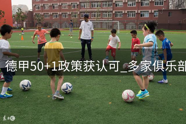 德甲"50+1"政策获认可 多家俱乐部面临新规调整