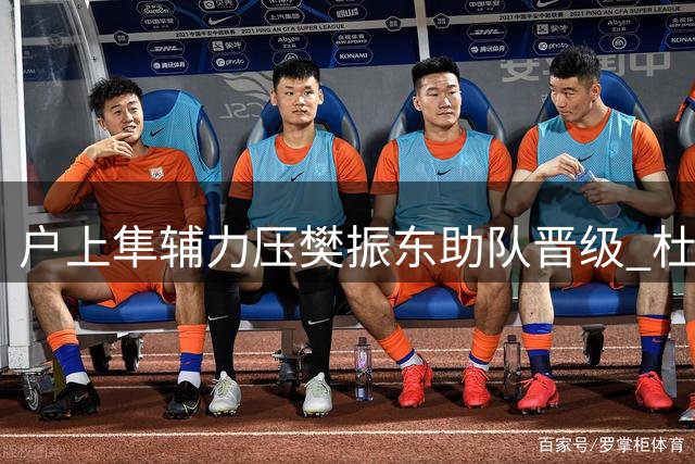 户上隼辅力压樊振东助队晋级 杜塞尔多夫德国杯止步16强